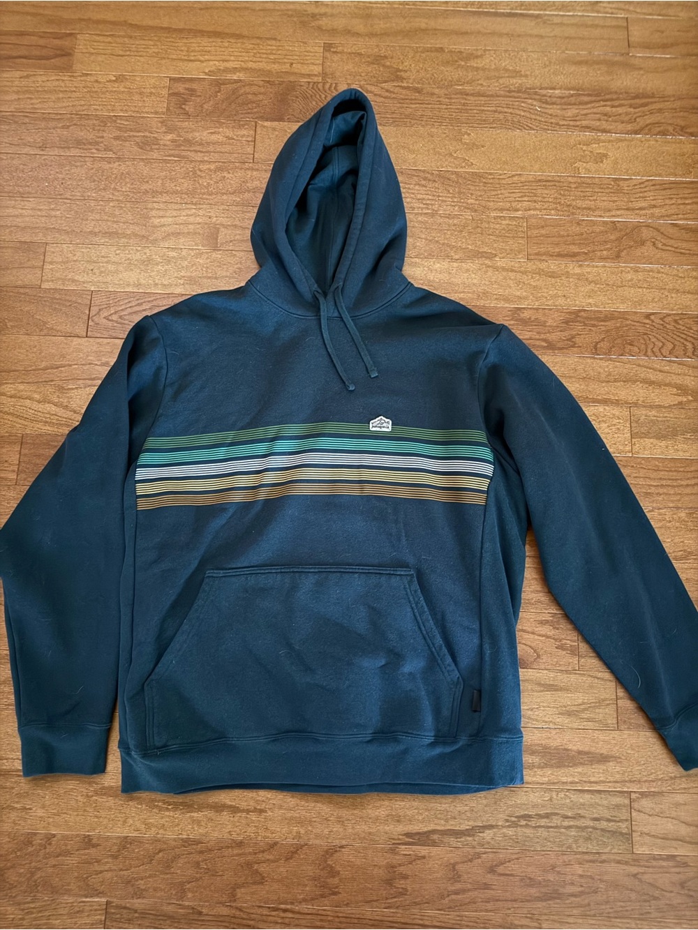 Men's Patagonia Dark Teal Hooded Pullover